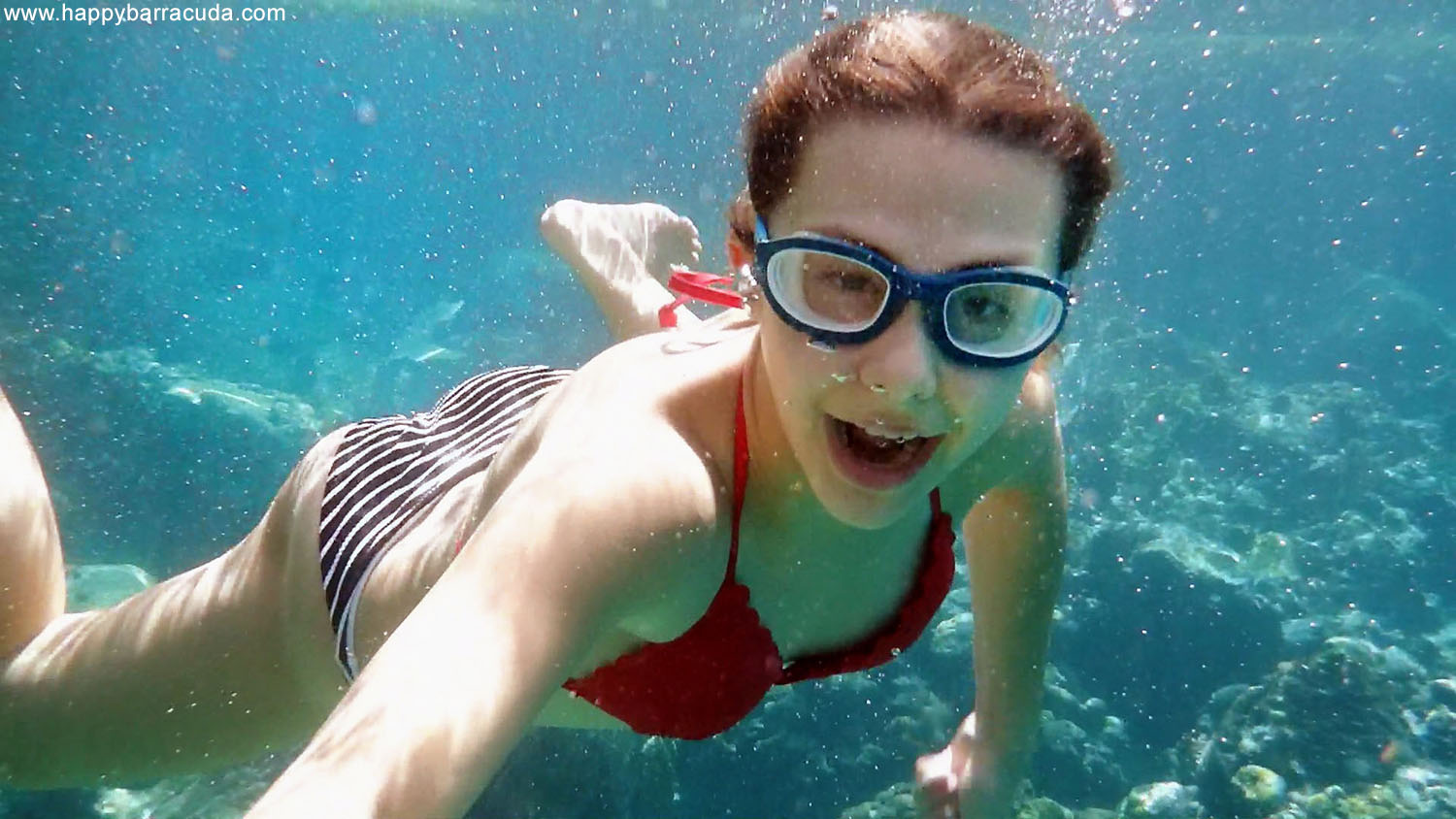 St. Lucia, Anse Chastanet Beach, snorkeling