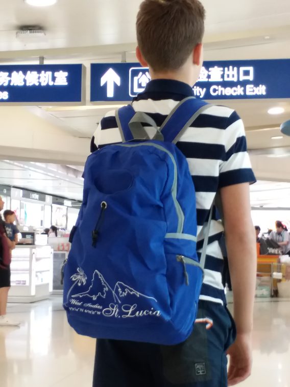 Travel Backpack